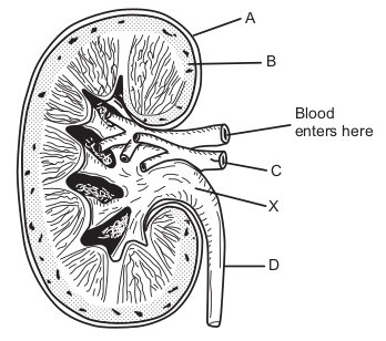 question 6 image